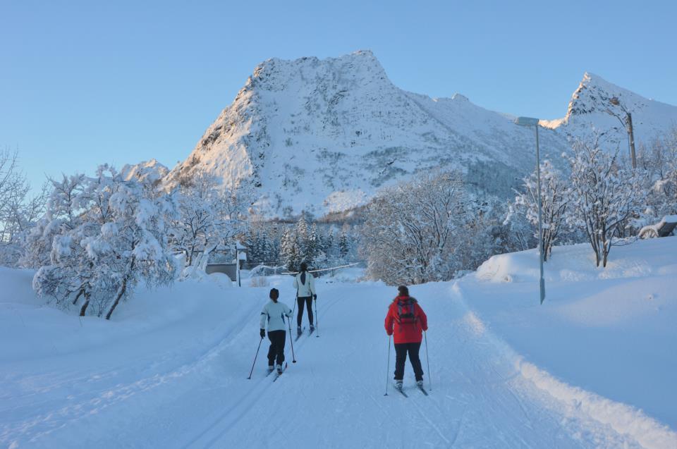Kabelvag Feriehus & Camping Extérieur photo